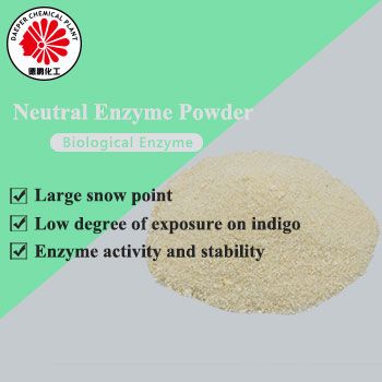 Neutral Enzyme Powder
